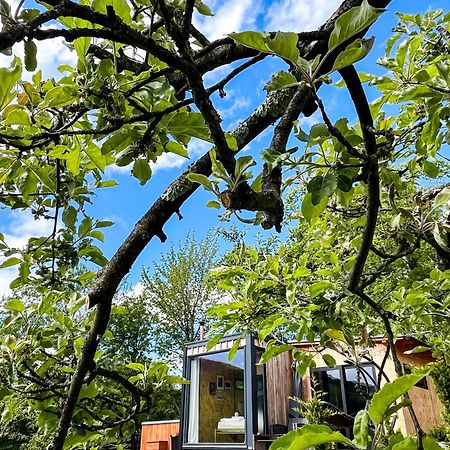 Bed and Breakfast Elysian Fields - The Island Tiny House Sadu Exteriér fotografie