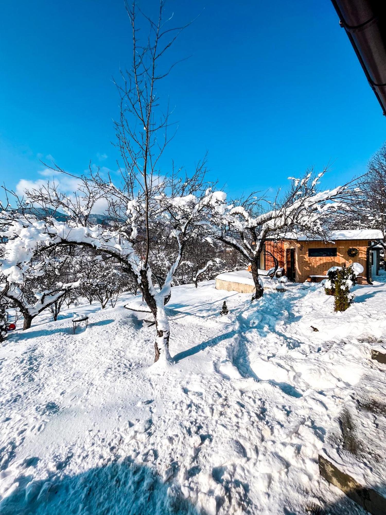 Bed and Breakfast Elysian Fields - The Island Tiny House Sadu Exteriér fotografie